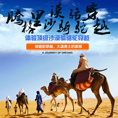 整合資源，打造專業旅游服務新生態